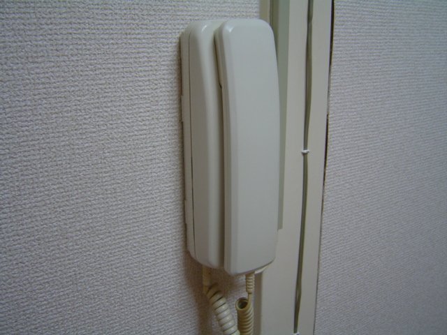 拡大写真：第２大幸ハイツ 4階401のセキュリティ