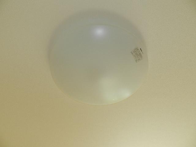 拡大写真：スプリングス 1階102の照明器具