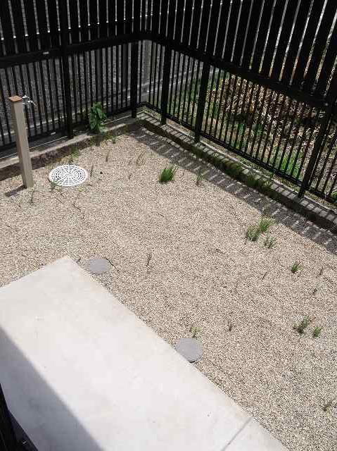 拡大写真:サンリット 1階101の専用庭