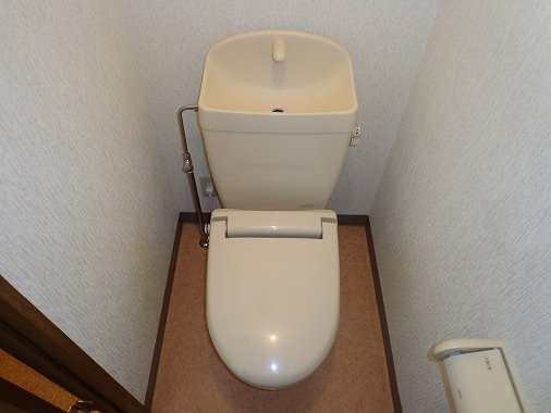 拡大写真:佐久市岩村田 1階101のトイレ