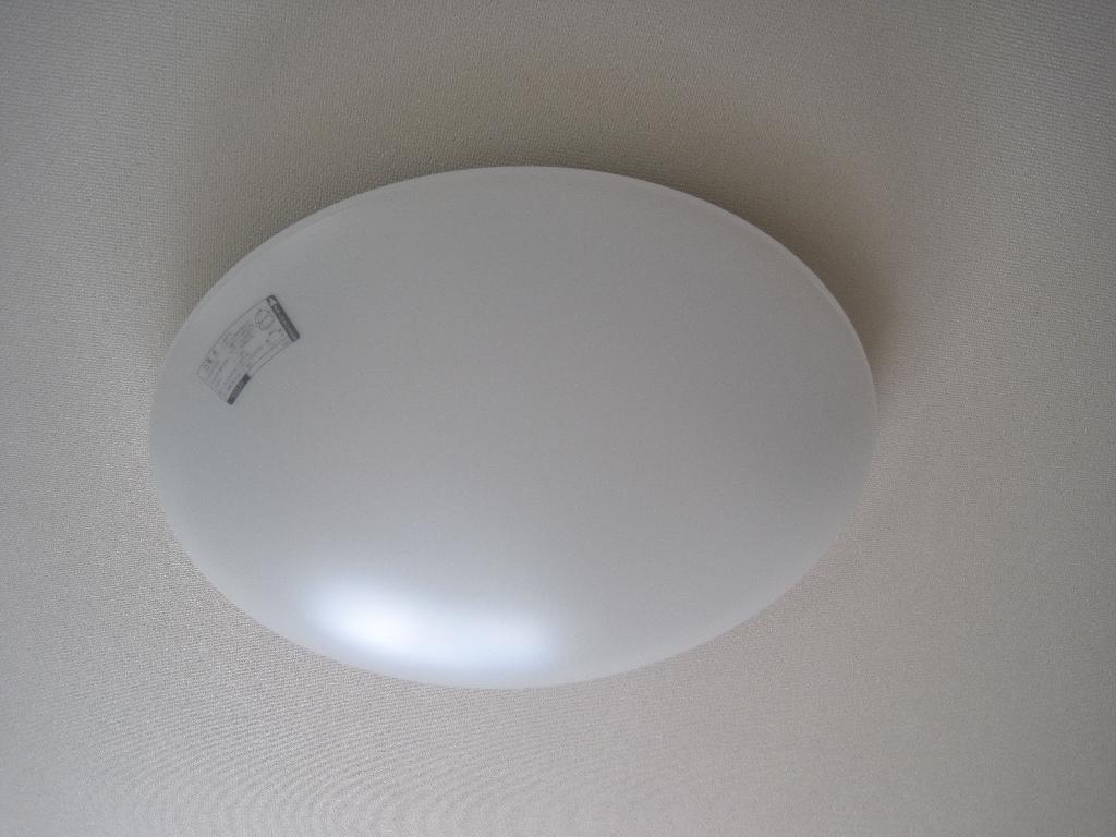 拡大写真:岐阜市大菅南 2階201の照明器具