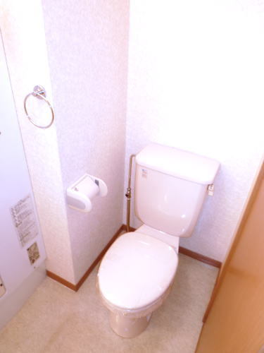 拡大写真:大阪市淀川区十三東1丁目 202のトイレ