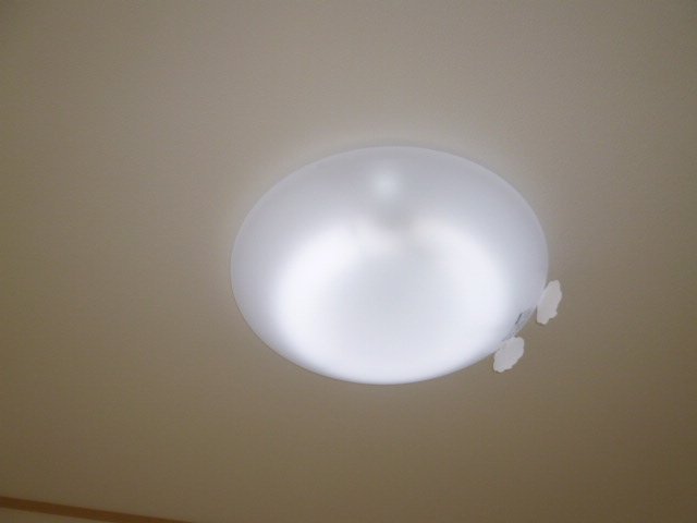 拡大写真:倉敷市藤戸町天城 2階202の照明