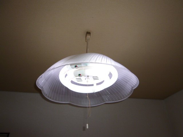 拡大写真:倉敷市福井 1階101の照明(イメージ)
