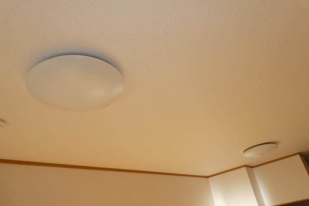 拡大写真:倉敷市上東 1階102の照明器具