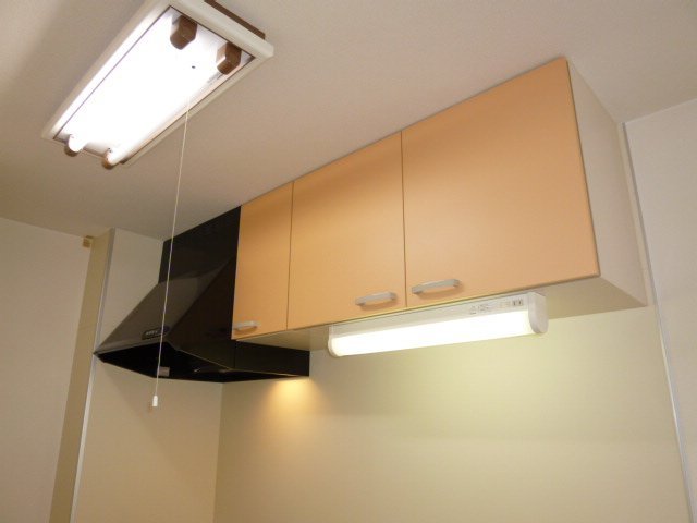 拡大写真:倉敷市日ノ出町1丁目 1階101のキッチン上収納