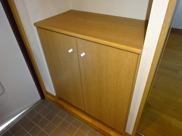拡大写真:総社市中央4丁目 3階302のシューズボックス(イメージ)