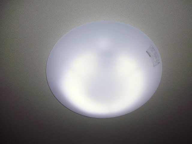 拡大写真:倉敷市神田1丁目 2階201の照明器具