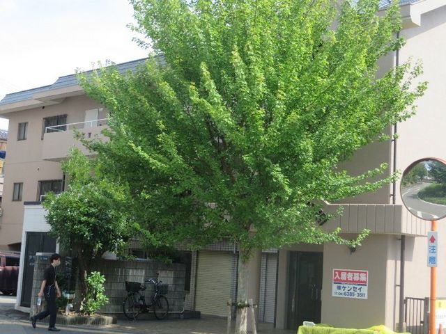 拡大写真：ハレー泉 2階202の外観写真（昼）