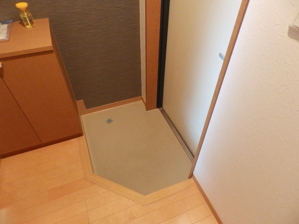 拡大写真：Ｓｕｎ　Ｓｔａｔｅ上飯田 3階305の玄関