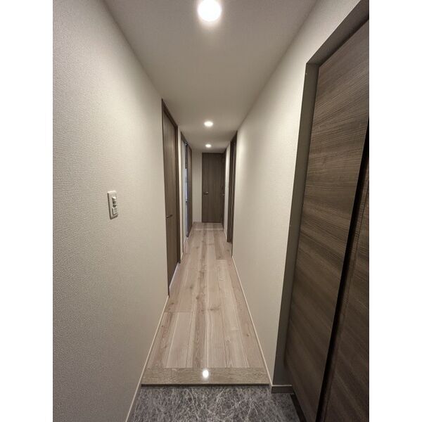 拡大写真:S-RESIDENCE亀島駅前blaze(ブレイズ) 10階1004の玄関