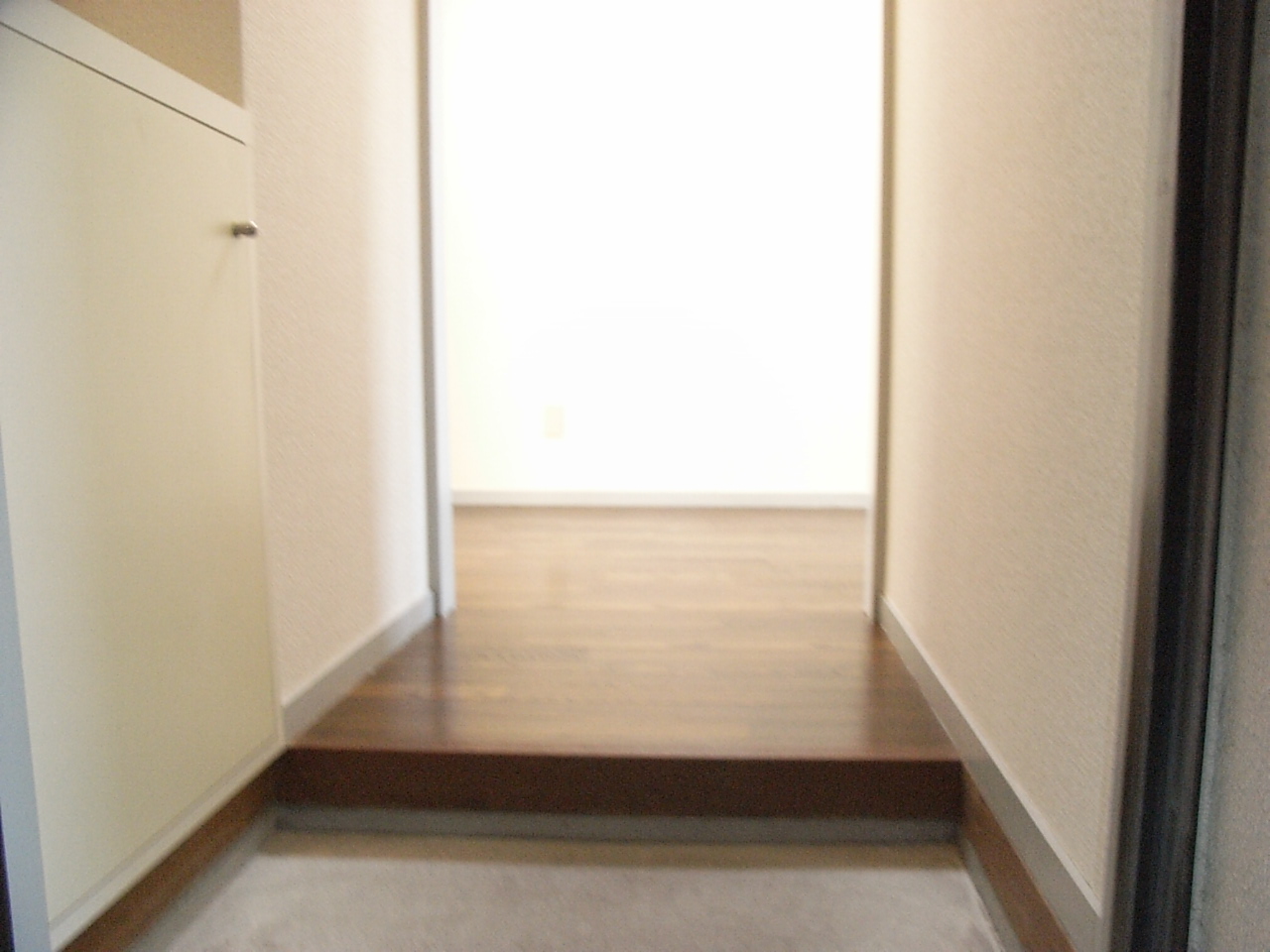 拡大写真:徳島市南矢三町3丁目 3階302の玄関
