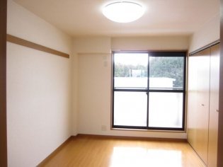 拡大写真：グリーンハイツ 2階Cの室内