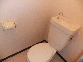 拡大写真：ハイツカオル 2階202のトイレ