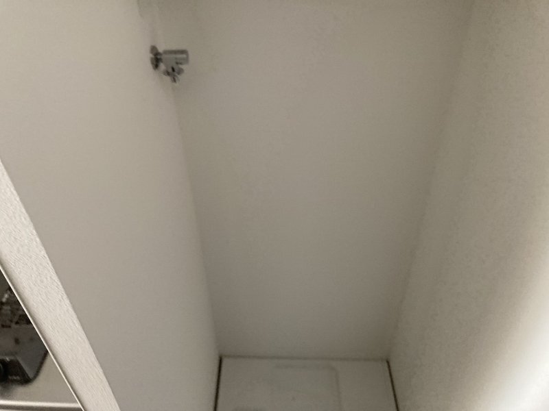 拡大写真：Luxe門真 4階303の洗濯機置場