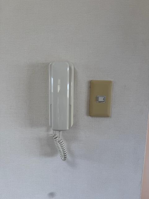 拡大写真:諫早市高来町小峰 2階201のセキュリティ