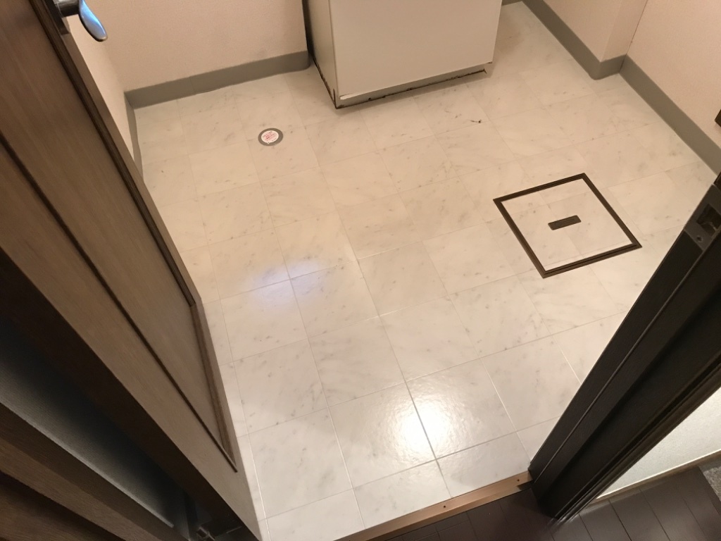 拡大写真:盛岡市前九年3丁目 1階101の洗面