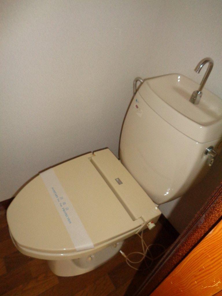 拡大写真：盛岡市東安庭３丁目 2階203のトイレ