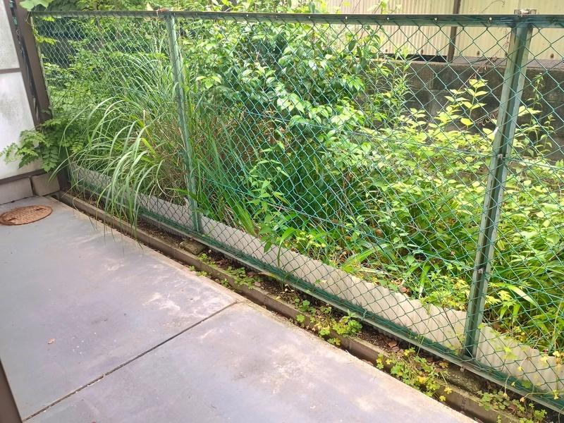 拡大写真:尼崎市武庫之荘8丁目 1階403の庭