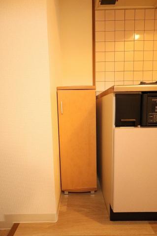 拡大写真:安芸郡海田町南堀川町 4階402の玄関