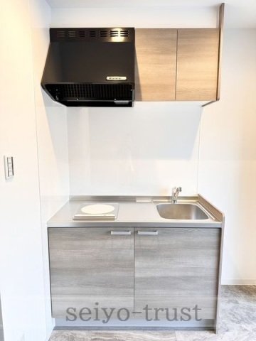 拡大写真:広島市西区三篠町1丁目 10階1002のキッチン