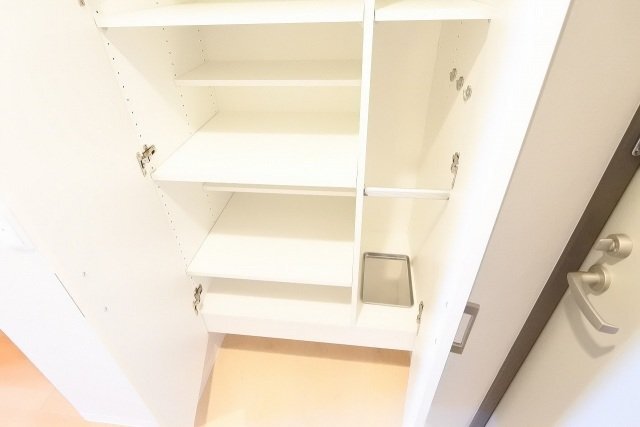 拡大写真：広島市南区松原町 32階3202の収納