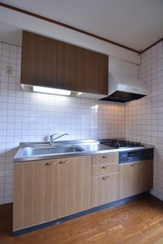 拡大写真:広島市安佐南区伴東2丁目 1階103のキッチン