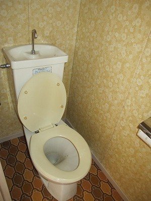 拡大写真:内田アパート 2階201のトイレ