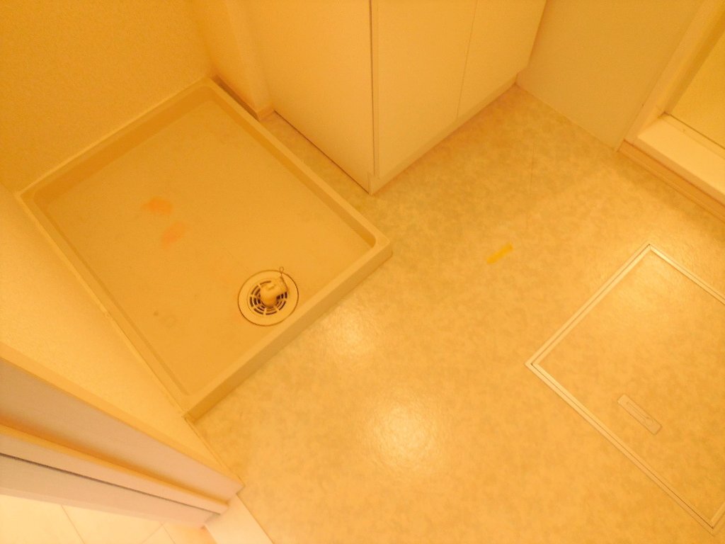 拡大写真：都城市吉尾町 2階101の洗面