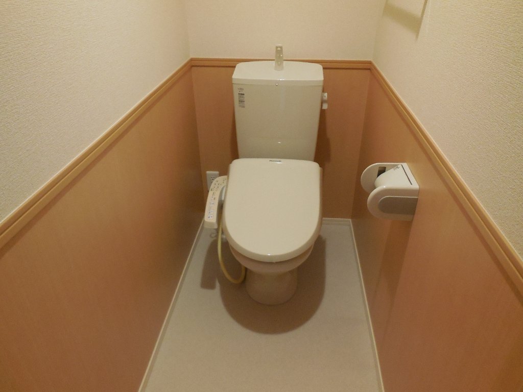 拡大写真：北諸県郡三股町大字樺山 2階202のトイレ