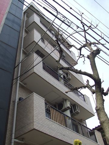 拡大写真：足立区西新井６丁目 502の外観写真（昼）