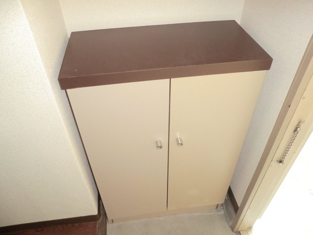 拡大写真：タウニーモイスン 2階B205の玄関