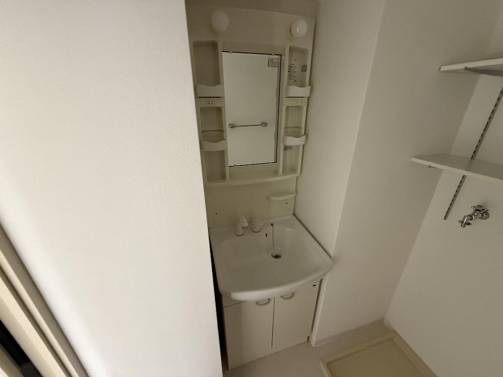 拡大写真：ブランドールMⅢ 4階414の洗面