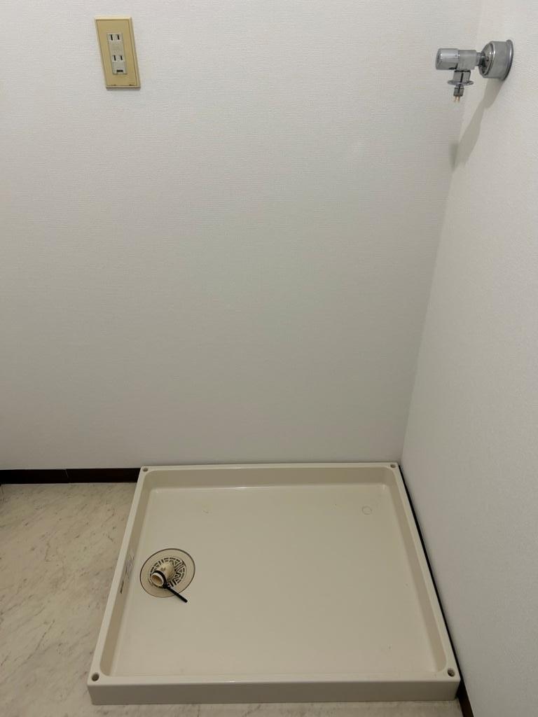 拡大写真：チェリーブロッサム香里 2階202の洗濯機置場