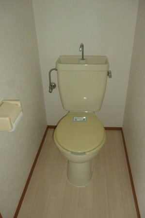 拡大写真：須永ハイツ 1階101のトイレ