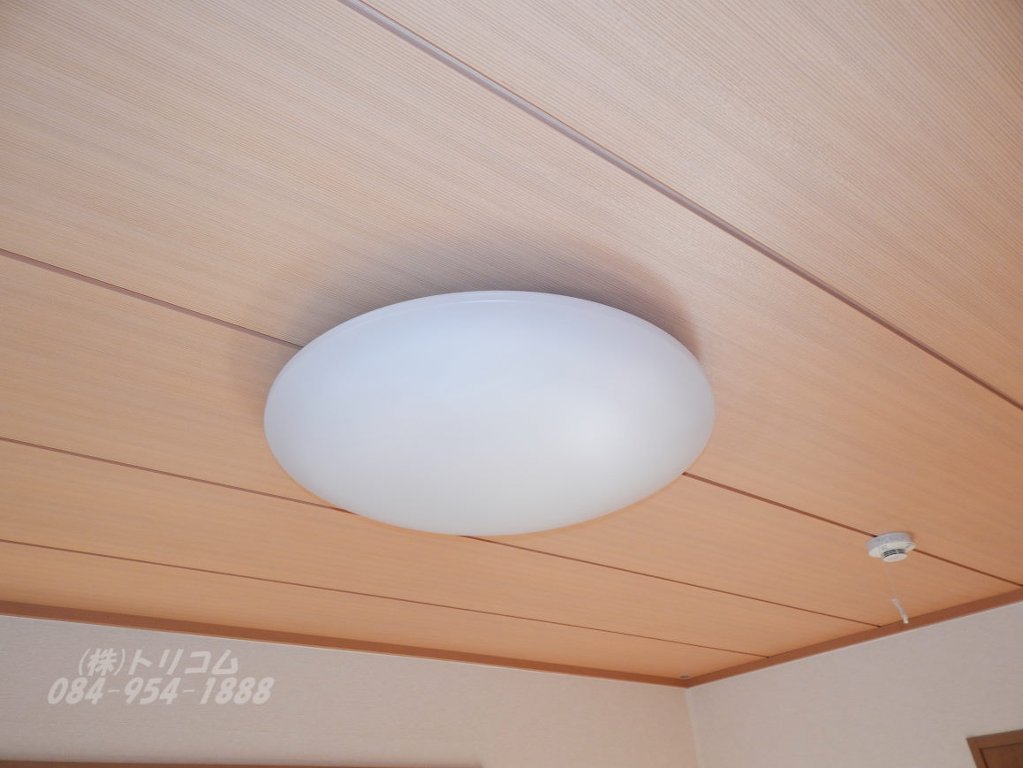 拡大写真：モンブランソレジオ A棟 1階101の照明付