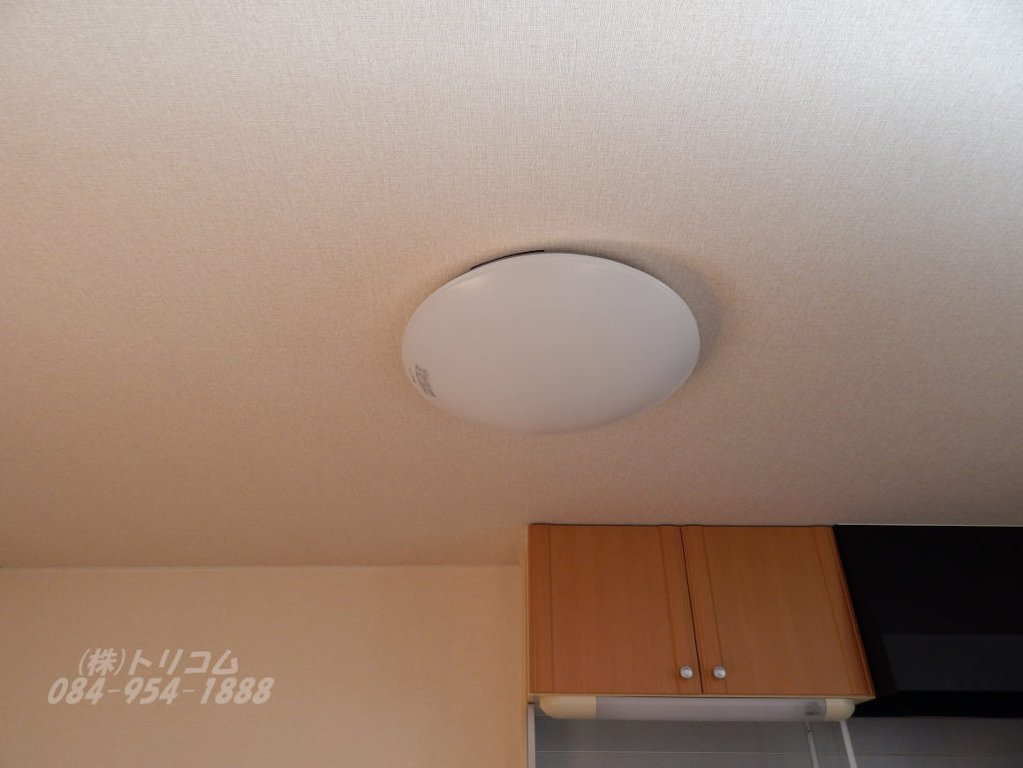 拡大写真：モンブランソレジオ C棟 1階101の照明付