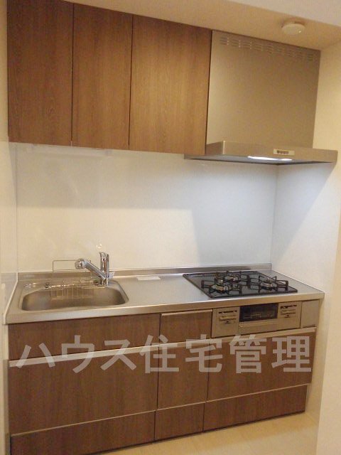 拡大写真:高槻市栄町4丁目 1階102のキッチン