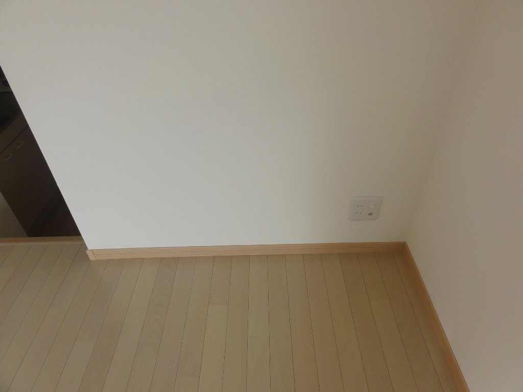 拡大写真：宇治市伊勢田町南山 1階111のテレビアンテナ