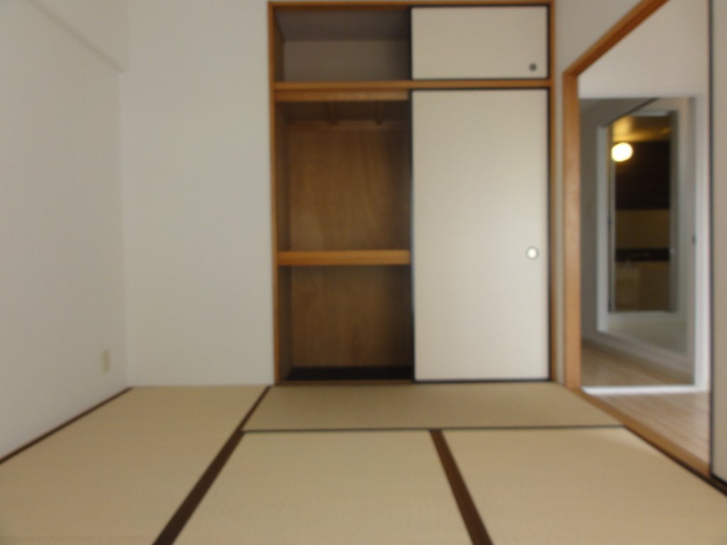 拡大写真：城陽市富野西垣内 6階608の収納