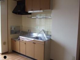 拡大写真:綾歌郡宇多津町岩屋 2階202のキッチン