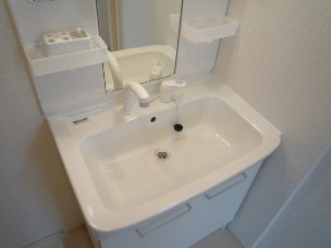 拡大写真:岸和田市春木宮川町 1階103の洗面