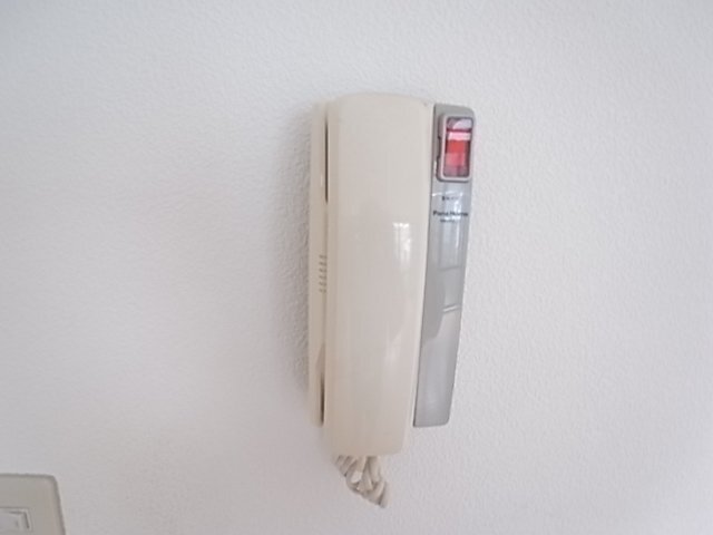拡大写真：ライゼックス藤ヶ丘 2階B0201のセキュリティ