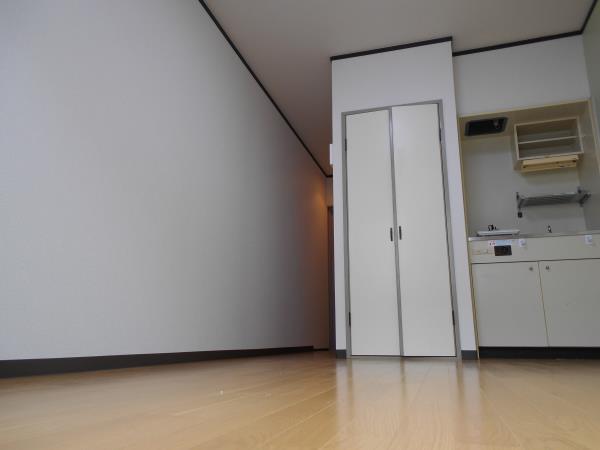 拡大写真:グレープ本町 4階410の洋室