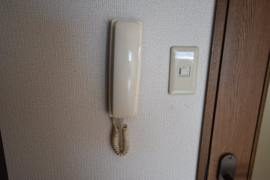 拡大写真：サンフレール八尾 3階301のセキュリティ