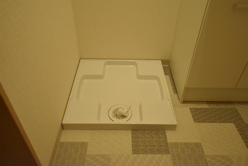 拡大写真：F+style藤井寺林2号館 203の洗濯機置場