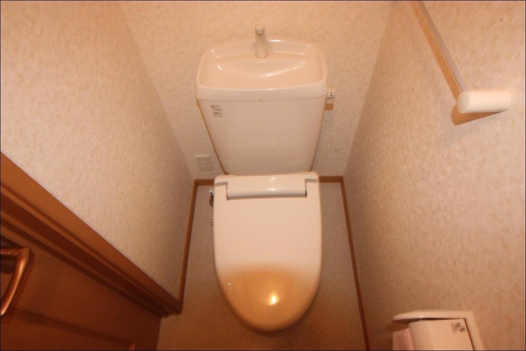 拡大写真：府中市中須町 2階202のシャワー付トイレ