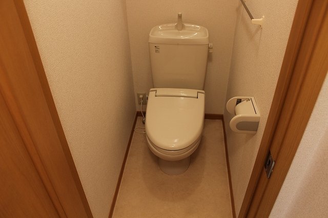 拡大写真：カーサエテルノⅠ 101のトイレ