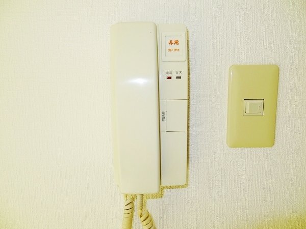 拡大写真:池田市井口堂1丁目 3階209のインターホン