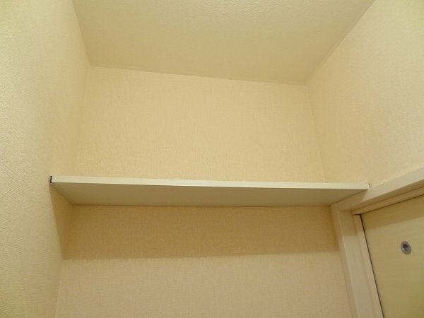 拡大写真:池田市石橋2丁目 3階201の収納棚(トイレ)